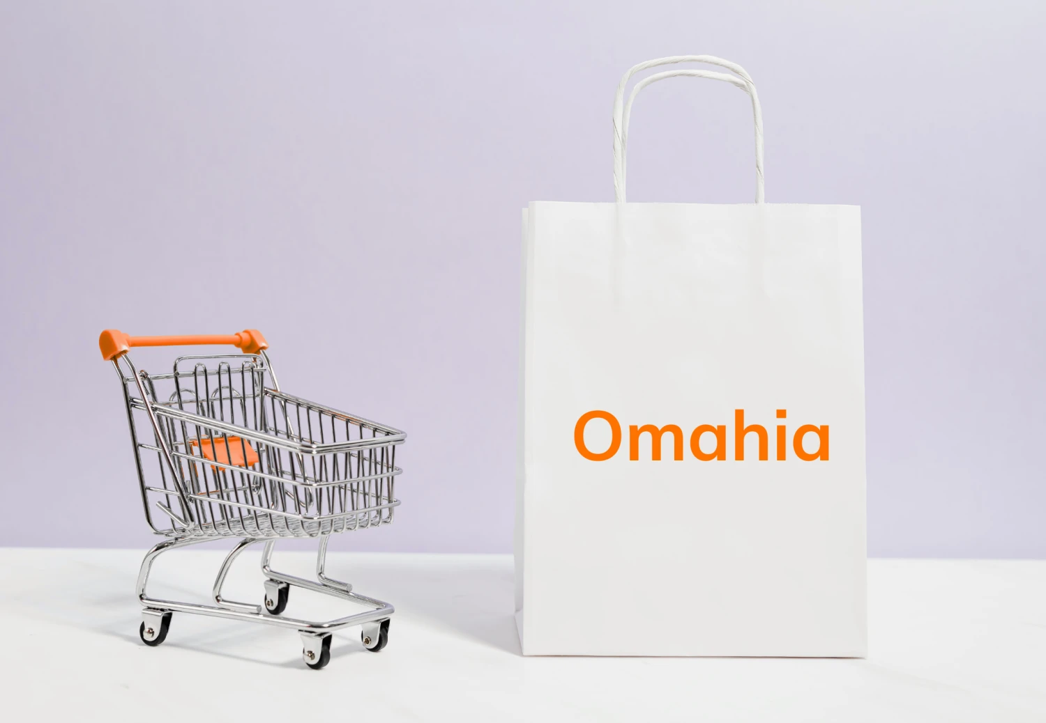 Customer Login Page Image